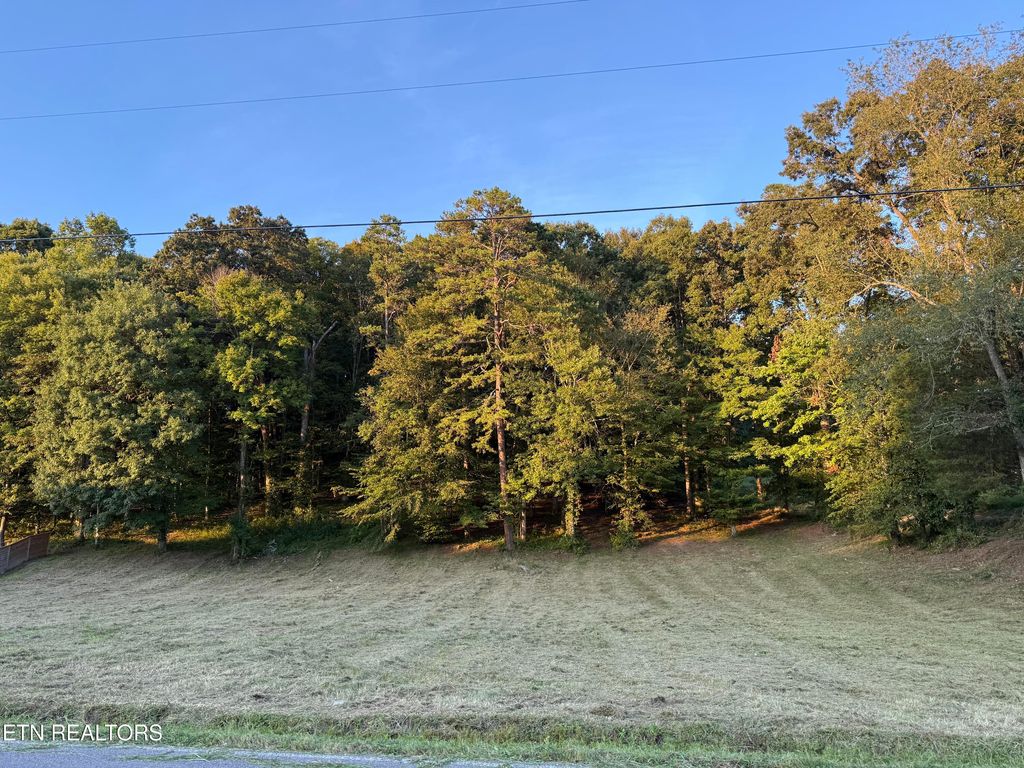 Photo of Hillvale Rd, Andersonville, TN 37705 (MLS # 1314825)