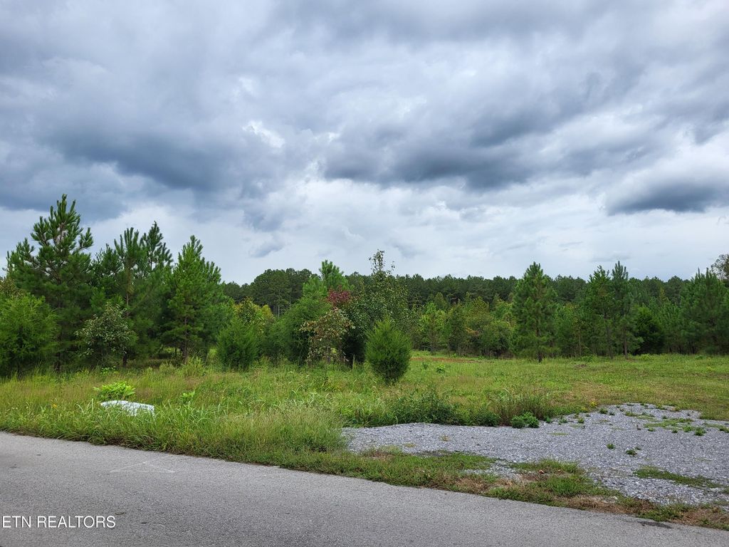 Photo of 329 County Rd #775, Riceville, TN 37370 (MLS # 1315840)