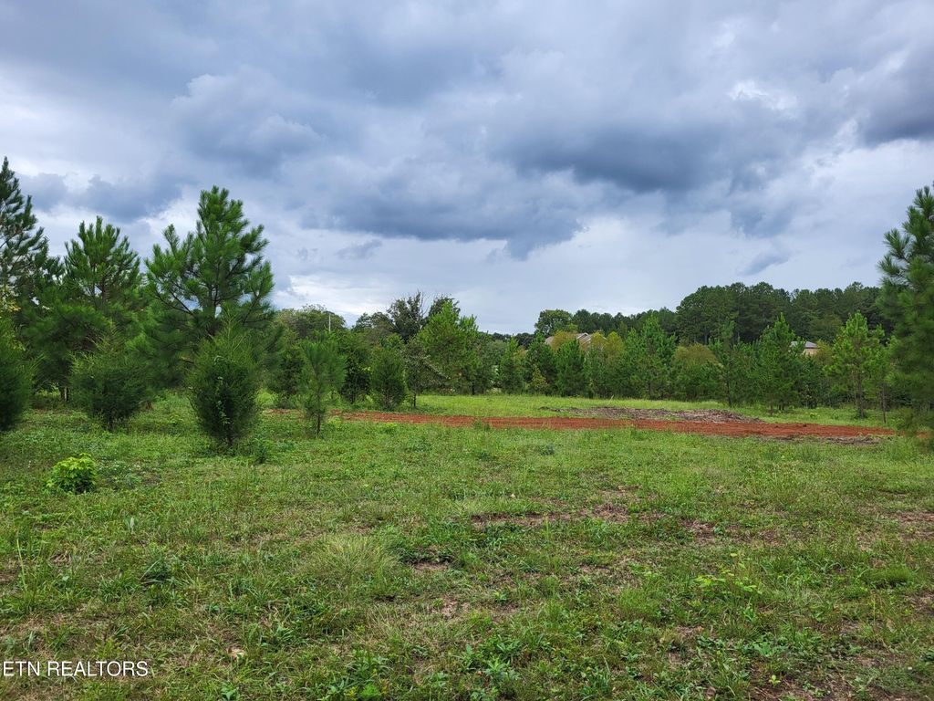 Photo of 329 County Rd #775, Riceville, TN 37370 (MLS # 1315840)