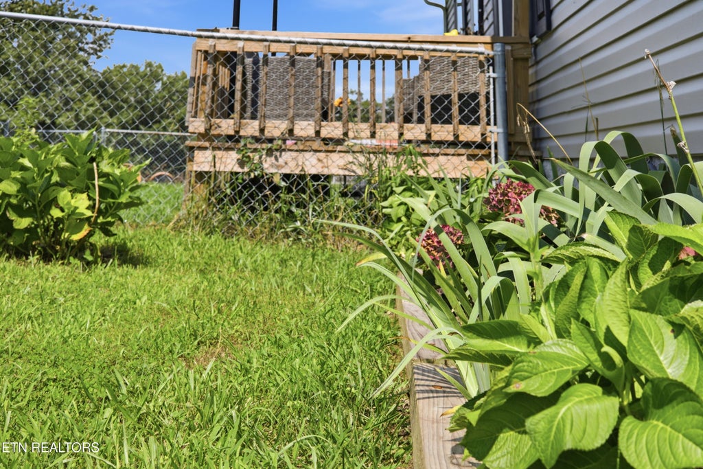 Photo of 3309 Airport Rd, Rockwood, TN 37854 (MLS # 1351601)