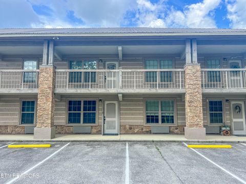 Photo of 7239 E Lamar Alex Pkwy #205, Townsend, TN 37882 (MLS # 1344575)
