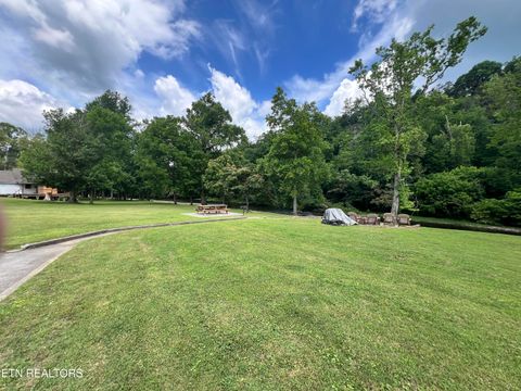 Tiny photo for 7239 E Lamar Alex Pkwy #205, Townsend, TN 37882 (MLS # 1344575)