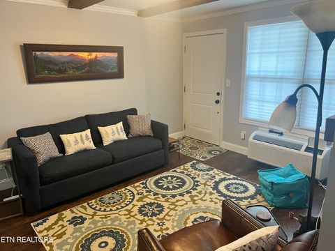 Tiny photo for 7239 E Lamar Alex Pkwy #205, Townsend, TN 37882 (MLS # 1344575)