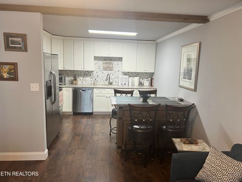 Tiny photo for 7239 E Lamar Alex Pkwy #205, Townsend, TN 37882 (MLS # 1344575)