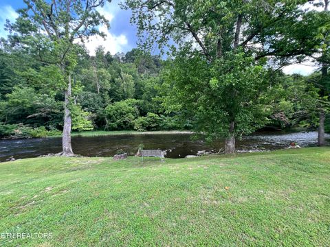 Tiny photo for 7239 E Lamar Alex Pkwy #205, Townsend, TN 37882 (MLS # 1344575)