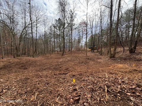Tiny photo for Sunrise Lane, Decatur, TN 37322 (MLS # 1324090)