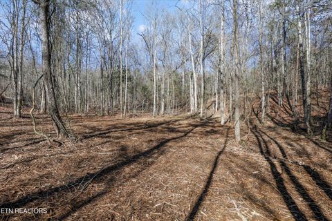 Tiny photo for Sunrise Lane, Decatur, TN 37322 (MLS # 1324090)
