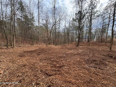 Tiny photo for Sunrise Lane, Decatur, TN 37322 (MLS # 1324090)