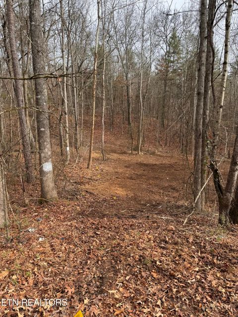 Tiny photo for Sunrise Lane, Decatur, TN 37322 (MLS # 1324090)