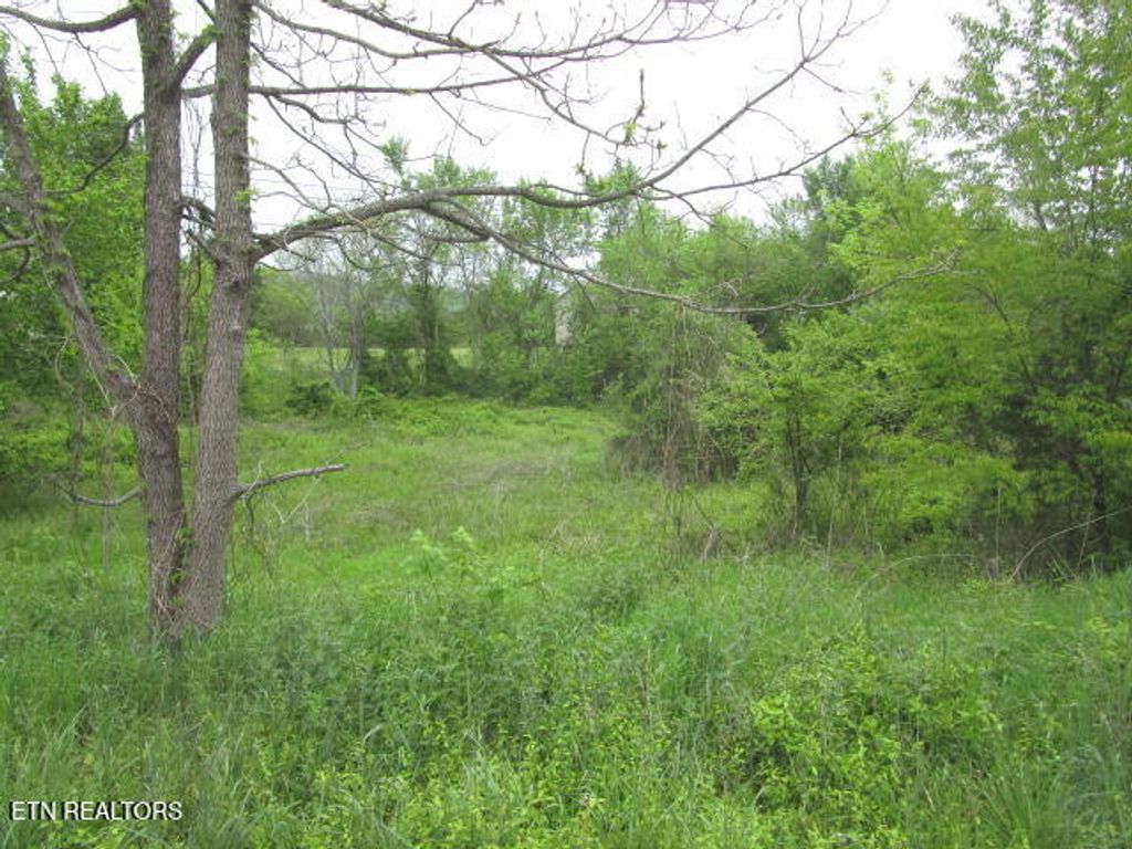 Photo of Silent Lane, Rutledge, TN 37861 (MLS # 1299563)