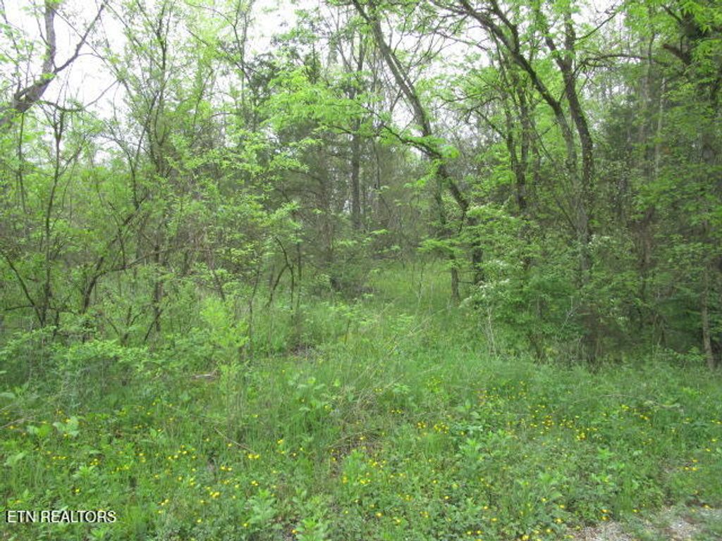 Photo of Silent Lane, Rutledge, TN 37861 (MLS # 1299563)