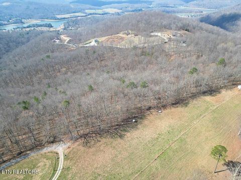 Tiny photo for 8 Mountain Way, Sharps Chapel, TN 37866 (MLS # 1331951)