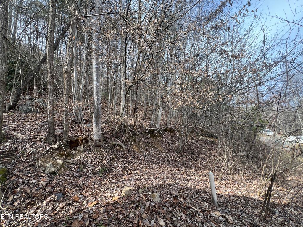 Photo of 4316 Trentham Way, Pigeon Forge, TN 37863 (MLS # 1332911)