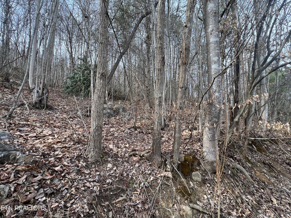 Photo of 4316 Trentham Way, Pigeon Forge, TN 37863 (MLS # 1332911)