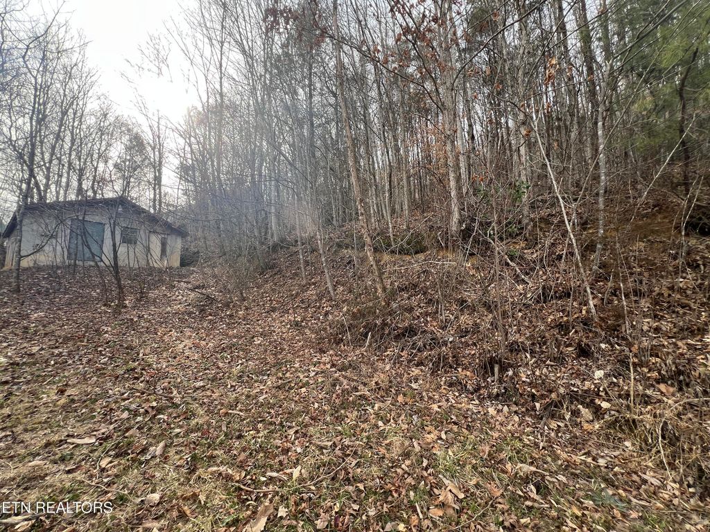 Photo of 4316 Trentham Way, Pigeon Forge, TN 37863 (MLS # 1332911)