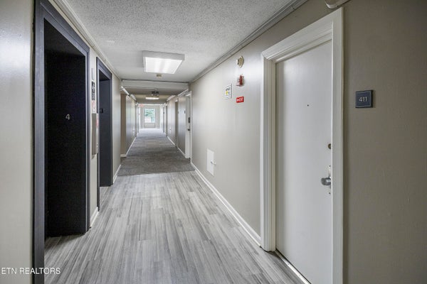 1700 CLINCH AVE APT 411, KNOXVILLE, TN 37916 - Image d62879ecd94a0cdbe294e7c0665d5bfb/1074254647