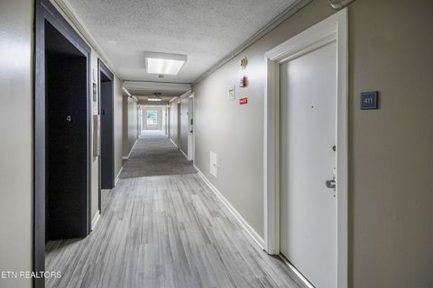 Photo of 1700 Clinch Ave #411, Knoxville, TN 37916 (MLS # 1346155)