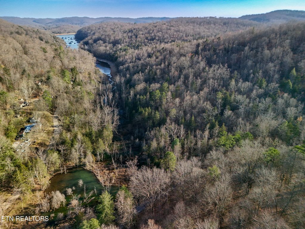 Photo of 110 Braden Chapel Rd, Speedwell, TN 37870 (MLS # 1333415)
