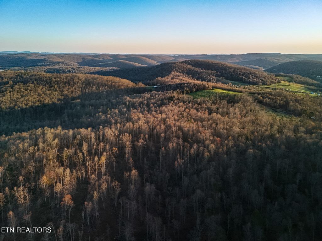 Photo of 110 Braden Chapel Rd, Speedwell, TN 37870 (MLS # 1333415)