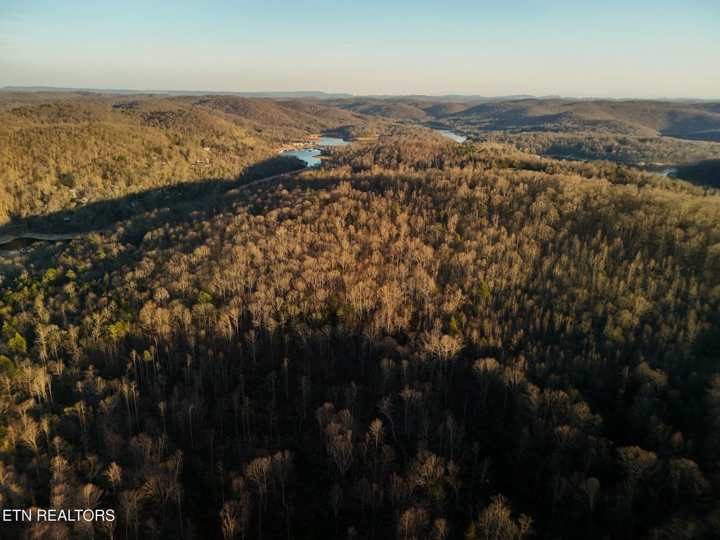 Photo of 110 Braden Chapel Rd, Speedwell, TN 37870 (MLS # 1333415)