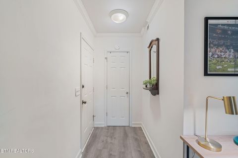 Tiny photo for 509 11th St #2006, Knoxville, TN 37916 (MLS # 1335805)