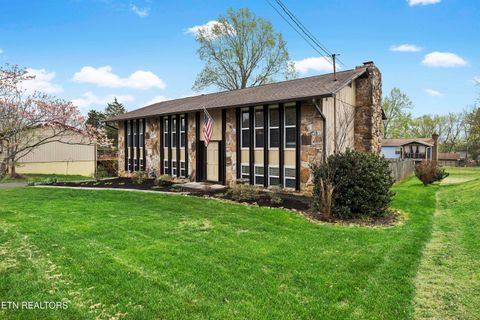 Tiny photo for 229 Newport Rd, Knoxville, TN 37934 (MLS # 1335594)