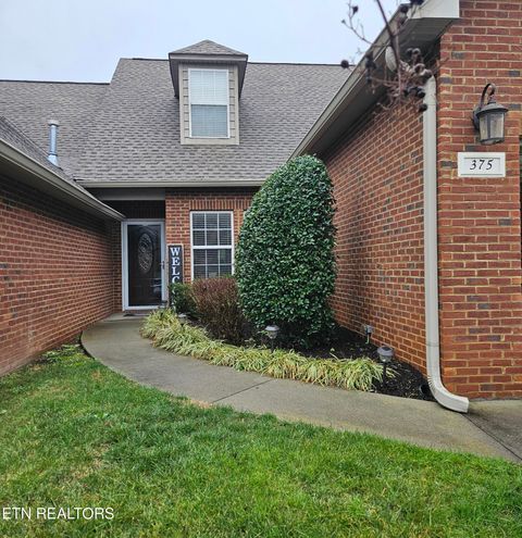 Photo of 375 Meadow Walk Lane, Lenoir City, TN 37772 (MLS # 1326094)