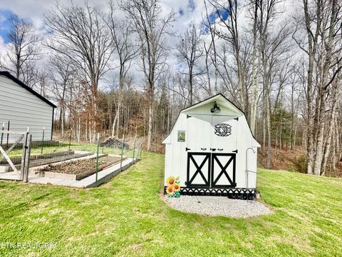 Tiny photo for 140 Red Hill Rd, Sunbright, TN 37872 (MLS # 1331853)