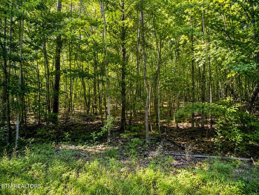112 KEYLON HOLLOW RD, TEN MILE, TN 37880 - Image d6528dd49ecf57ba2fd4c09ec7a9cf2c/3059578073