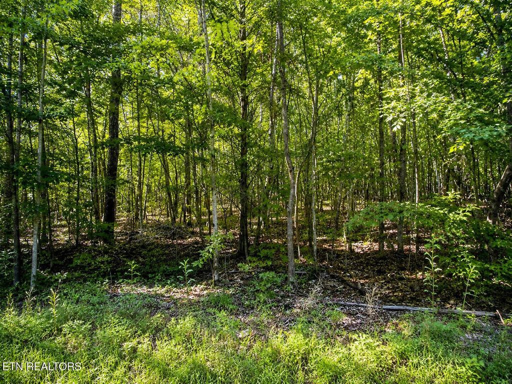 Photo of 5 Keylon Hollow Road RD, Ten Mile, TN 37880 (MLS # 1343840)