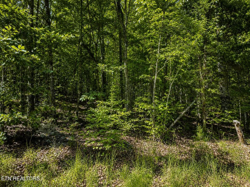 Photo of 5 Keylon Hollow Road RD, Ten Mile, TN 37880 (MLS # 1343840)