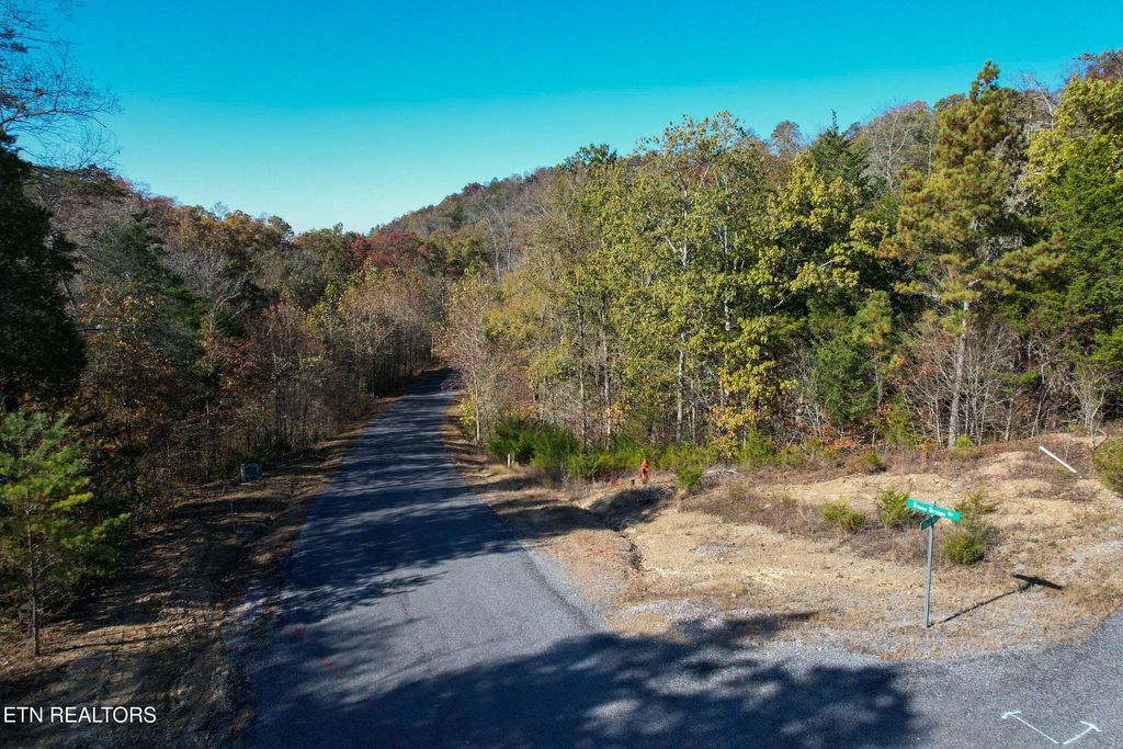 Photo of 86 Stone Bridge Drive, Dandridge, TN 37725 (MLS # 1285673)