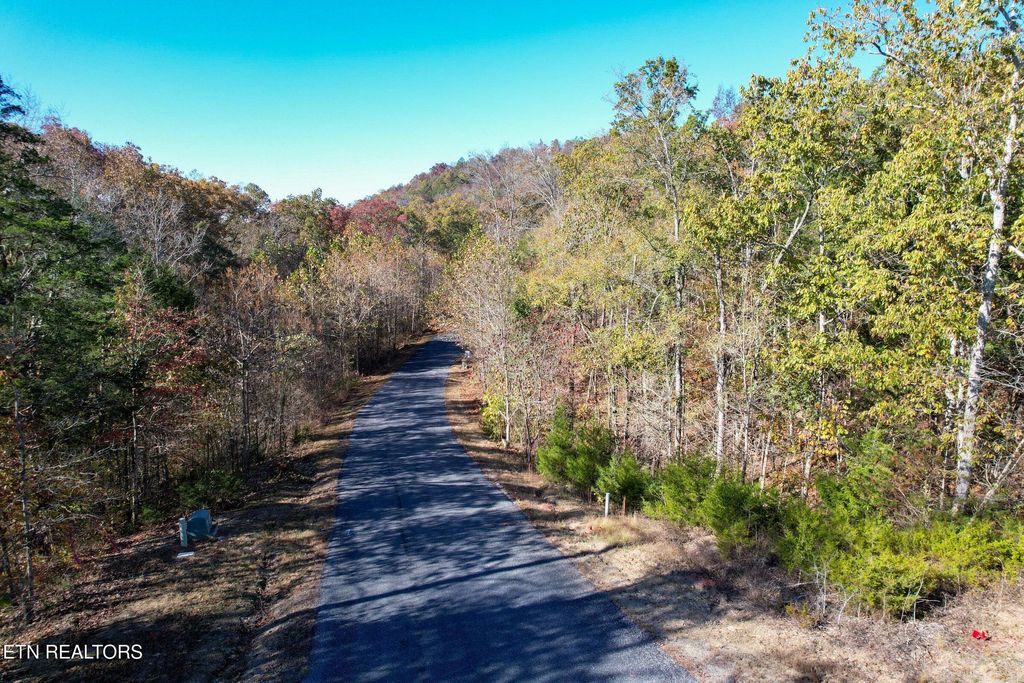 Photo of 86 Stone Bridge Drive, Dandridge, TN 37725 (MLS # 1285673)