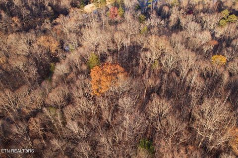 Tiny photo for 106107 Hiwassee View Drive, Jacksboro, TN 37757 (MLS # 1332493)