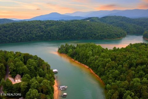 Tiny photo for 106107 Hiwassee View Drive, Jacksboro, TN 37757 (MLS # 1332493)