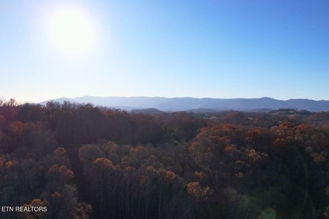 Tiny photo for 106107 Hiwassee View Drive, Jacksboro, TN 37757 (MLS # 1332493)