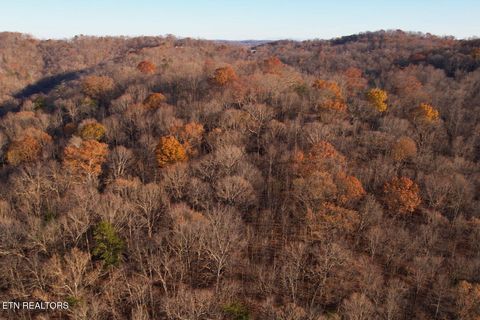 Tiny photo for 106107 Hiwassee View Drive, Jacksboro, TN 37757 (MLS # 1332493)