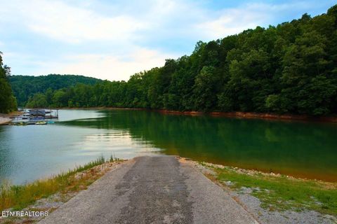 Tiny photo for 106107 Hiwassee View Drive, Jacksboro, TN 37757 (MLS # 1332493)