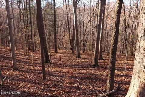 Tiny photo for 106107 Hiwassee View Drive, Jacksboro, TN 37757 (MLS # 1332493)