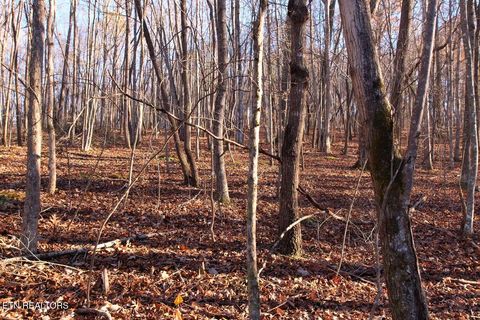 Tiny photo for 106107 Hiwassee View Drive, Jacksboro, TN 37757 (MLS # 1332493)