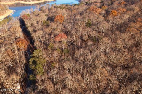 Tiny photo for 106107 Hiwassee View Drive, Jacksboro, TN 37757 (MLS # 1332493)