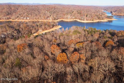 Tiny photo for 106107 Hiwassee View Drive, Jacksboro, TN 37757 (MLS # 1332493)