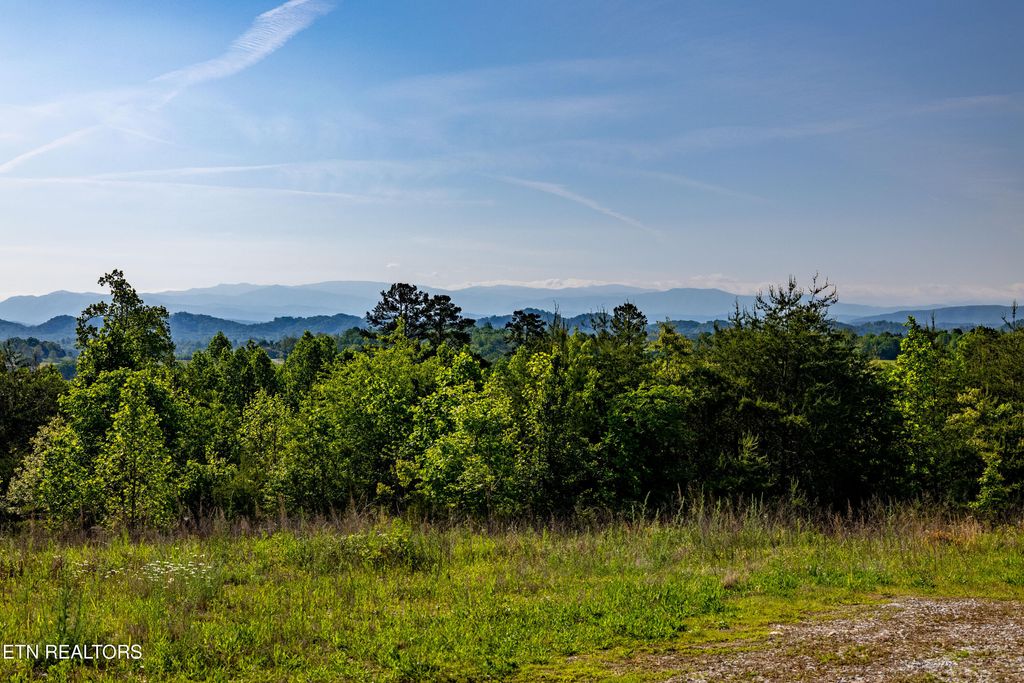 Photo of 110 Garren Rd, Madisonville, TN 37354 (MLS # 1321403)