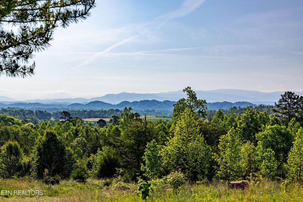 Photo of 110 Garren Rd, Madisonville, TN 37354 (MLS # 1321403)