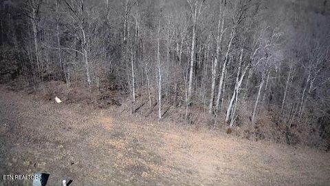 Tiny photo for 531 Cedar Gate Lane, LaFollette, TN 37766 (MLS # 1330854)