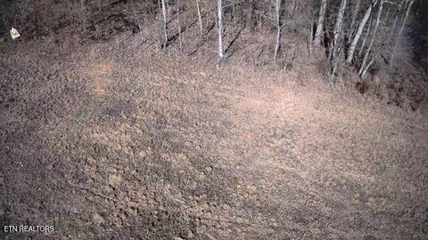 Tiny photo for 531 Cedar Gate Lane, LaFollette, TN 37766 (MLS # 1330854)