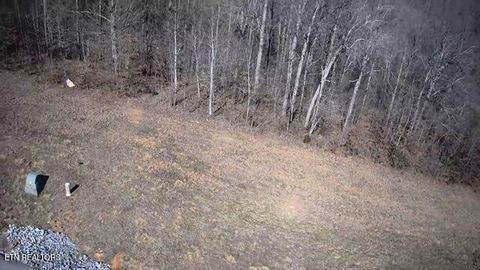Tiny photo for 531 Cedar Gate Lane, LaFollette, TN 37766 (MLS # 1330854)