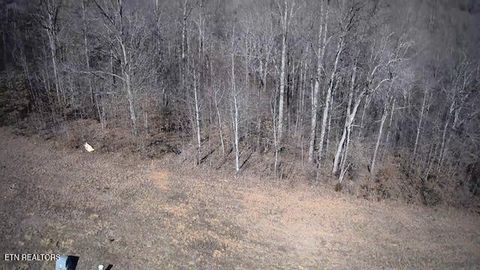 Tiny photo for 531 Cedar Gate Lane, LaFollette, TN 37766 (MLS # 1330854)