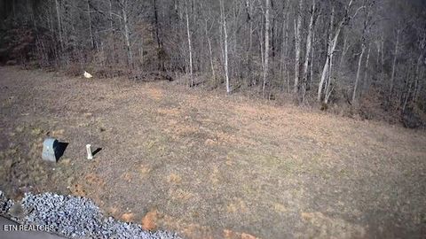 Tiny photo for 531 Cedar Gate Lane, LaFollette, TN 37766 (MLS # 1330854)
