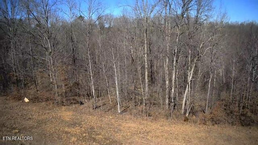 Photo of 531 Cedar Gate Lane, LaFollette, TN 37766 (MLS # 1330854)